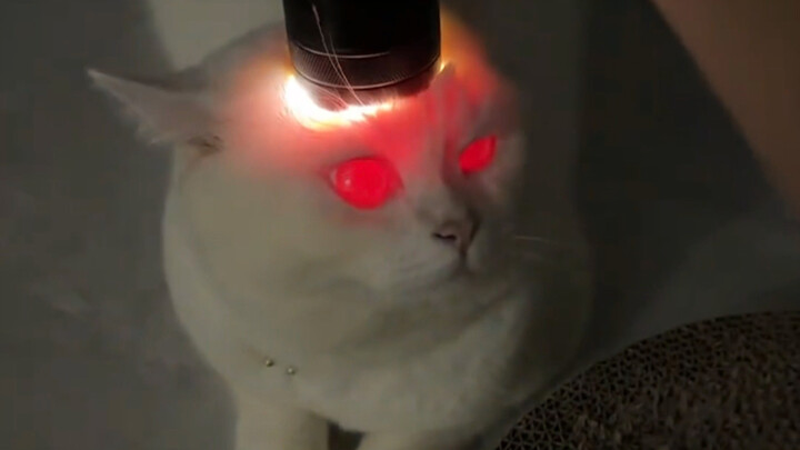 "If a house is destroyed, you can rebuild it, but you can never rebuild what you built."