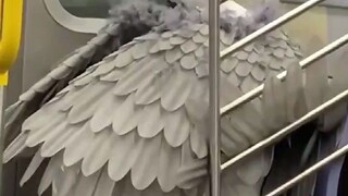 国外地铁上的一些奇葩画面