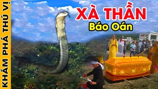 🔥 7 Lần RẮN THẦN BÁO OÁN Đến Thợ Săn Rắn Sành Sỏi Nhất Cũng C.H.Ế.T Oan Gây Ám Ảnh Cho Dân Làng (p2)