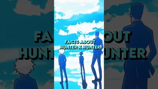 Facts About Hunter x Hunter You NEED To Know! #hunterhunter #anime #onepiece #shorts