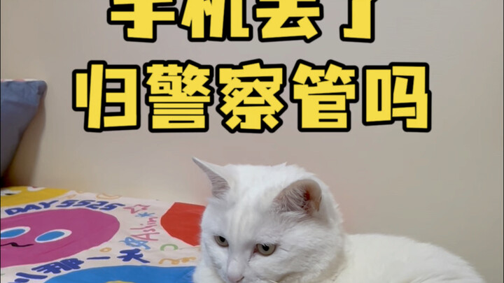 Điện thoại bị mất thuộc thẩm quyền xử lý của cảnh sát sao? #Mất mát #Nhặt được #Chiếm đoạt