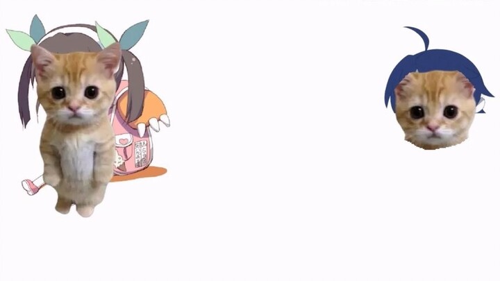Croissant Cat, but Mayoi Hachikuji