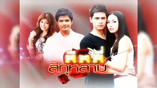 ลิลลี่สีกุหลาบ 13