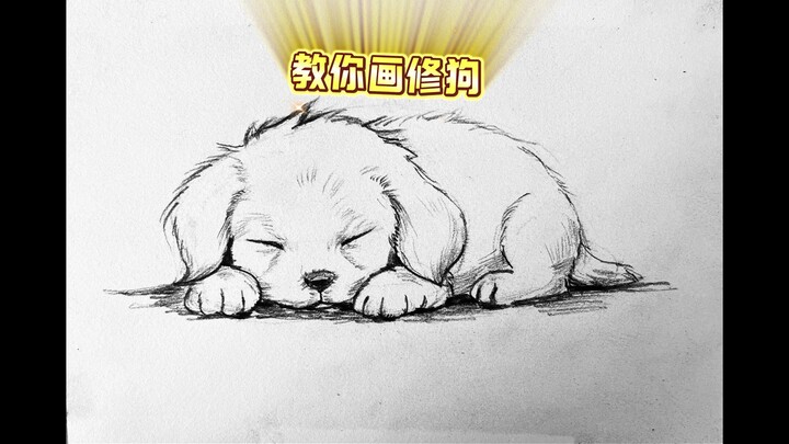 Người mới vẽ Shuigou: Vài bước là có ngay dáng đáng yêu
