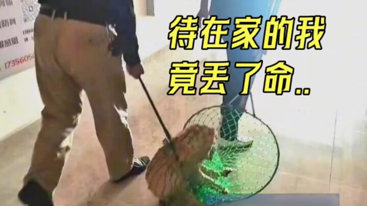 This winter, her child was turned into a pot of meat, boosting the office’s morale!