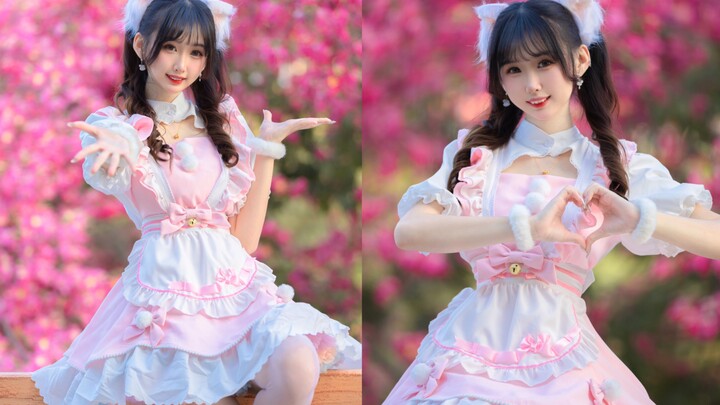 【Nono】Happy New Year~The maid in white silk under the kapok flowers dedicates a song to you with onl