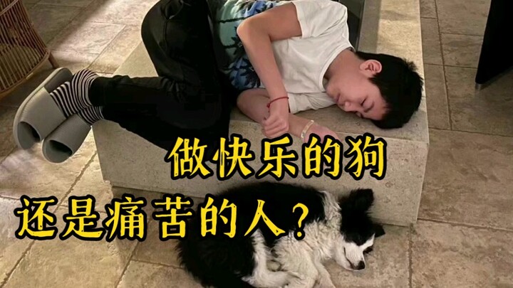 【胡皓康】康康和他家的狗狗