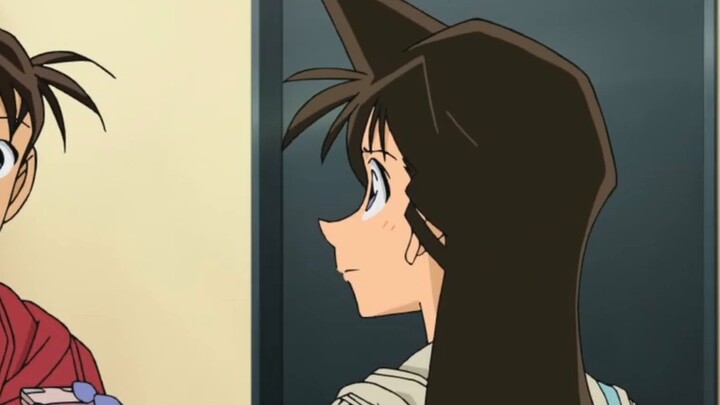 Let's talk about the Conan and Ai factions and the Shinran faction. What are the differences over th