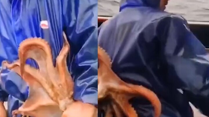 A fisherman got tangled up by an octopus that wouldn’t let go, and his next move had netizens in sti