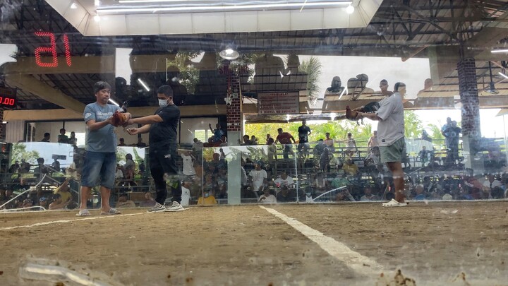 First fight blueface hatch