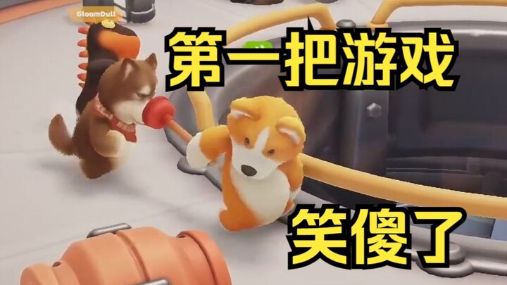 粉丝说这期不用剪！