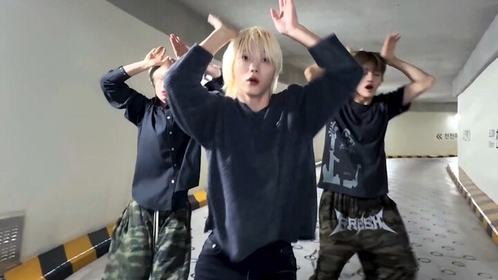พัคซองโฮ × ฮันจีฮุน ลีกยองมิน ท้าทายเพลง ANIMAL