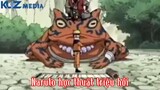 Naruto học thuật triệu hồi và cái kết