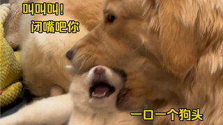 叫叫叫！尖叫喝多啦！？？嘴动帮你闭麦！