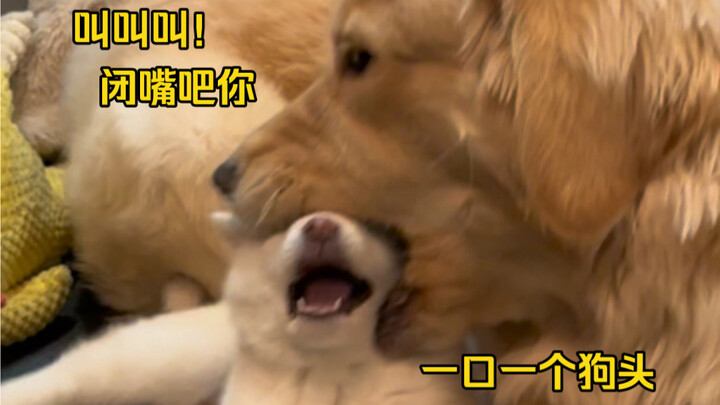 Shout, shout, shout! Screaming after drinking too much!? Your mouth is moving—let me mute you!