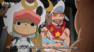 Zoro ni gan ... wakil kapten