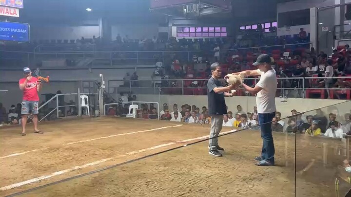 biboy line white Kelso talagang mabisa Manila arena agad unang Laban nkaparada 120k
