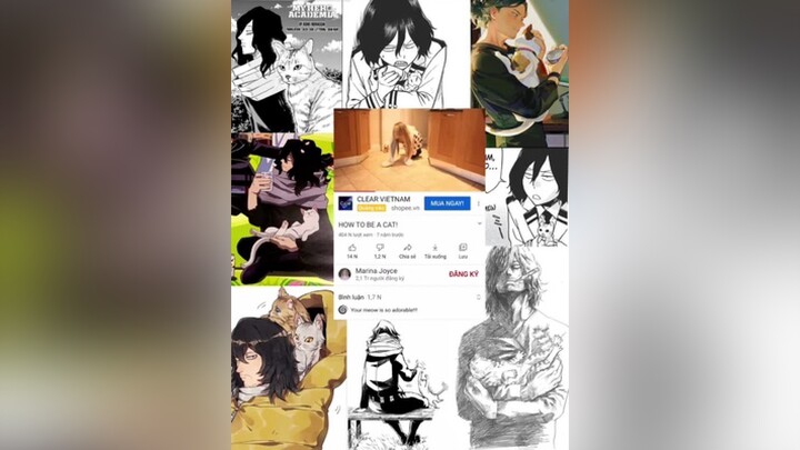 meo meo meo meo meo CapCut mha myheroacademia aizawa cat anime