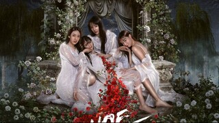 Hide And Sis (2025) Episode 6 Eng Sub