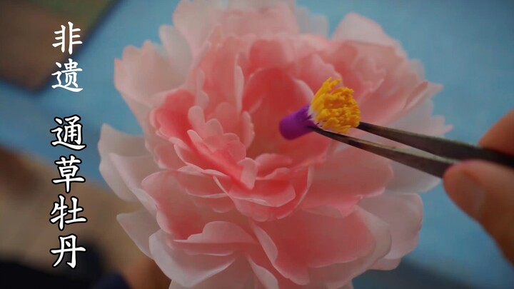用木头复原传承千年的永生花-通草牡丹，可与真花媲美