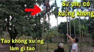 Cái  Kết Của Thầy Trò Săn Bắt Ẩm Thực Vùng Cao Vì Tội Đi Hát Tay Vịn| Tường Vy Vlog