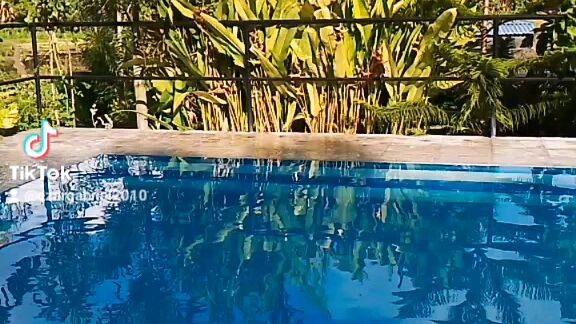 swimming🤪💚💚