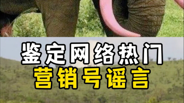 ตรวจสอบข่าวลือยอดฮิตบนโซเชียล｜กินเนื้อกระต่ายแล้วจะอดตาย｜ทดสอบความทนเหล้า｜เลือกเพลงประกอบสำหรับการปร