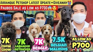 ARRANQUE PETSHOP FEB 17 UPDATE BAGSAK PRESYO + GIVEAWAY! AS LOW AS 700 PESOS MAY PUPPY KA NA!