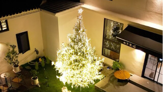 Dengar saran kami! Pohon Natal setinggi 4,6 meter di halaman kecil kami sudah selesai dirapikan～