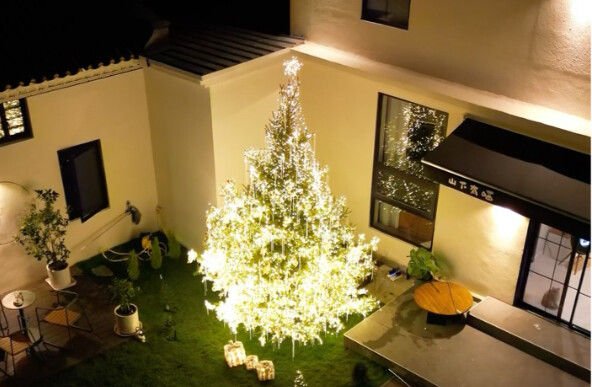 Heed our advice! Our little courtyard's 4.6-meter-tall Christmas tree has been revamped～