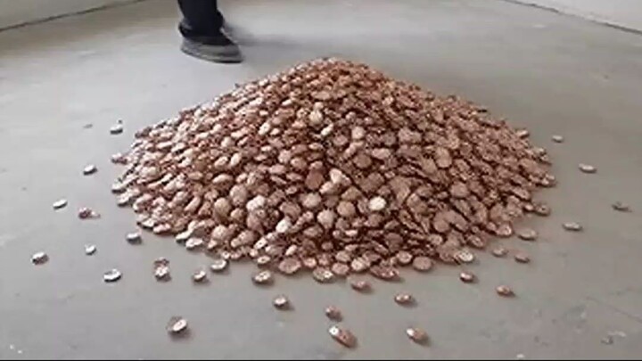 Bedroom & Rose Gold Shell  Raking Shells & Opaque White Epoxy Pour