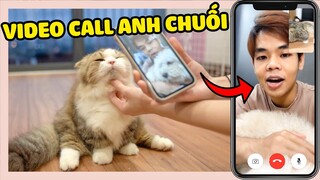 ANH @Oops Banana  GỌI ĐIỆN HỎI THĂM CÁC BÉ MÈO | The Happy Pets #102