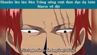 Lên tàu Râu Trắng uống rượi, tiện thể dụ Marco về đội