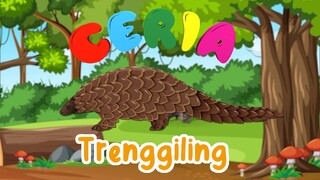 CERIA - Belajar Tentang Hewan: Trenggiling