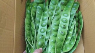 เปิดกล่องของกินจากแดนใต้ มาดูกันเลยในกล่องมีอะไรบ้าง