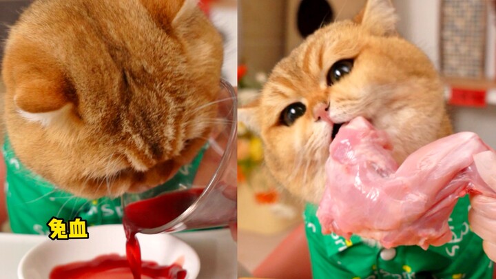 แมวกินไวน์แดง กินครอบครัวกระต่าย ช่างวิเศษนัก~