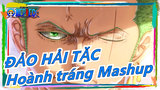 [ĐẢO HẢI TẶC/Hoành tráng Mashup] Ta thà chết chứ không thua! ! !