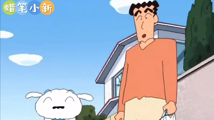 蜡笔小新丨小白真的很重要