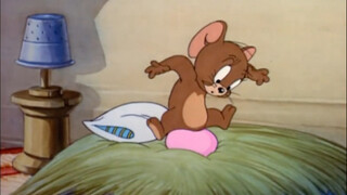Do mice lay eggs?
