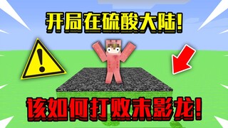 当开局在硫酸大陆！整个世界都是硫酸，该如何打败末影龙！