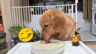 [Dogs Clip] วันนี้กินเกี๊ยว เลิฟเลย