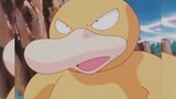 [Pokémon] Mình nói Kodak là Pokémon dễ thương nhất, có ai phản đối không?