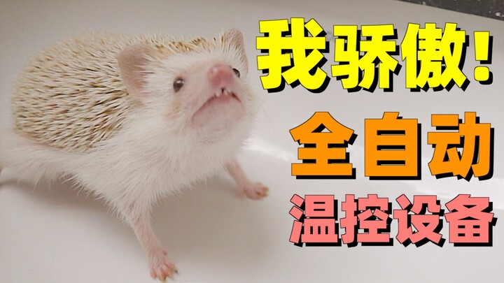 Seberapa gila sih kandang landak peliharaan? Bahkan bisa dipanaskan secara terjadwal!