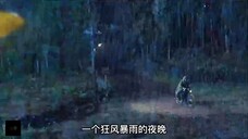 高分催泪电影,绝症马儿坚持要为主人赢得冠军,结局太虐心......#方糖#推荐电影 #高分电影