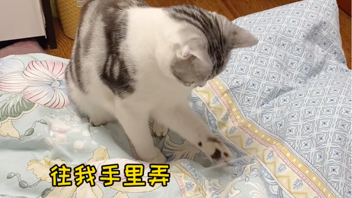 It's such a joy to be favored by a little kitten!