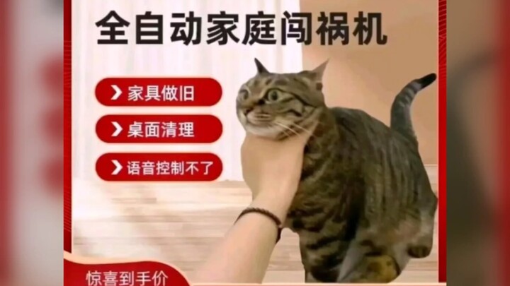Hình tang mỗi ngày