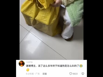 Setelah hidup selama bertahun-tahun, akhirnya saya tahu bagaimana anjing menggonggong.