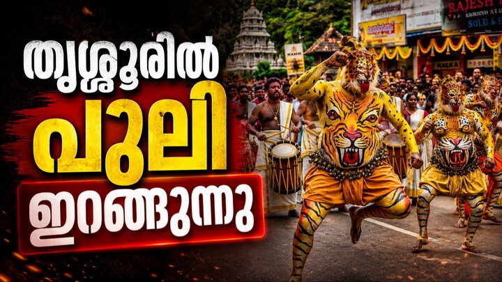Thrissur - Swaraj Round - താളമേളങ്ങളോടെ തൃശൂരിൽ ആവേശ പുലികളി - Thrissur Pulikali