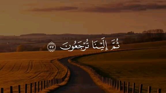 Quran Tilawat, ❤️