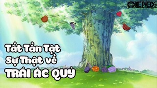 Tất Tần Tật Sự Thật Về Trái Ác Quỷ - Devil Fruit